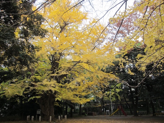 六本木ミッドタウン近く　神社