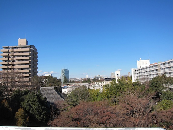 屋上から見た景色