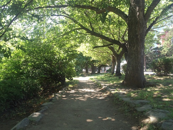 札幌　大道り公園